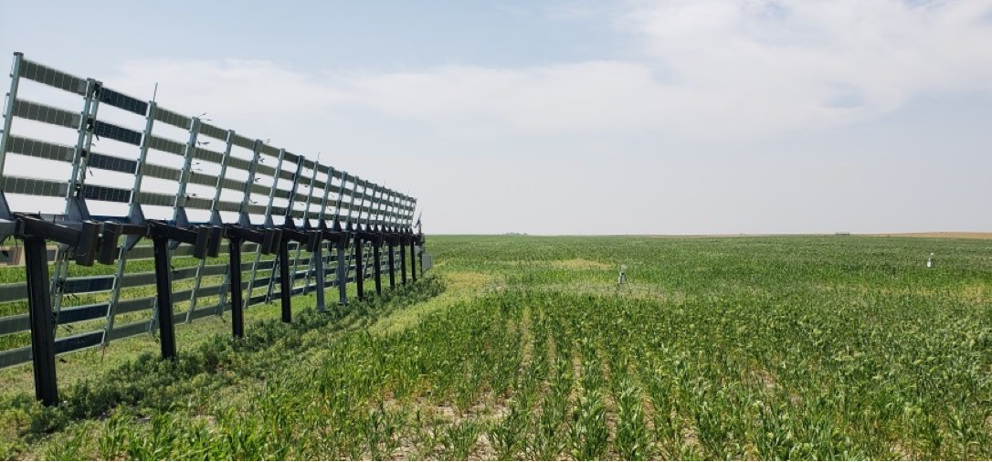 Dynamic Agrivoltaic Shelterbelt